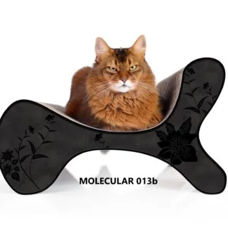 Molecular
