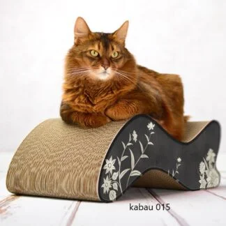 Kabou