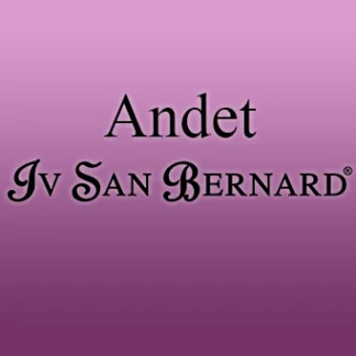 Andet Iv san Bernard