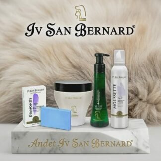 Andet Iv san Bernard
