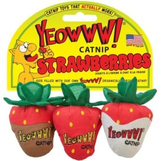 Catnip jordbær